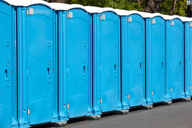 Best Standard Portable Toilet Rental in St Joseph, IL